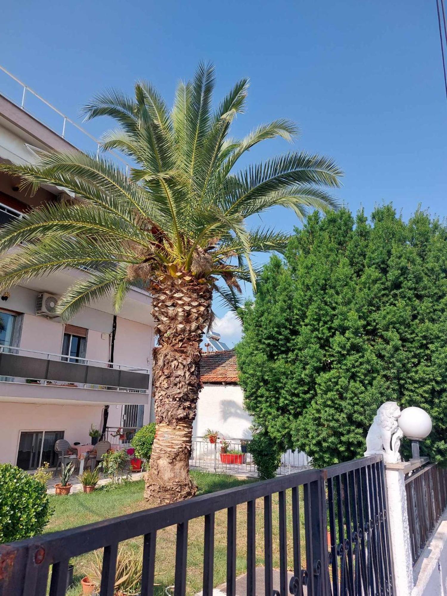 Studio Με Όλες Τις Ανέσεις Vétrina Exterior foto